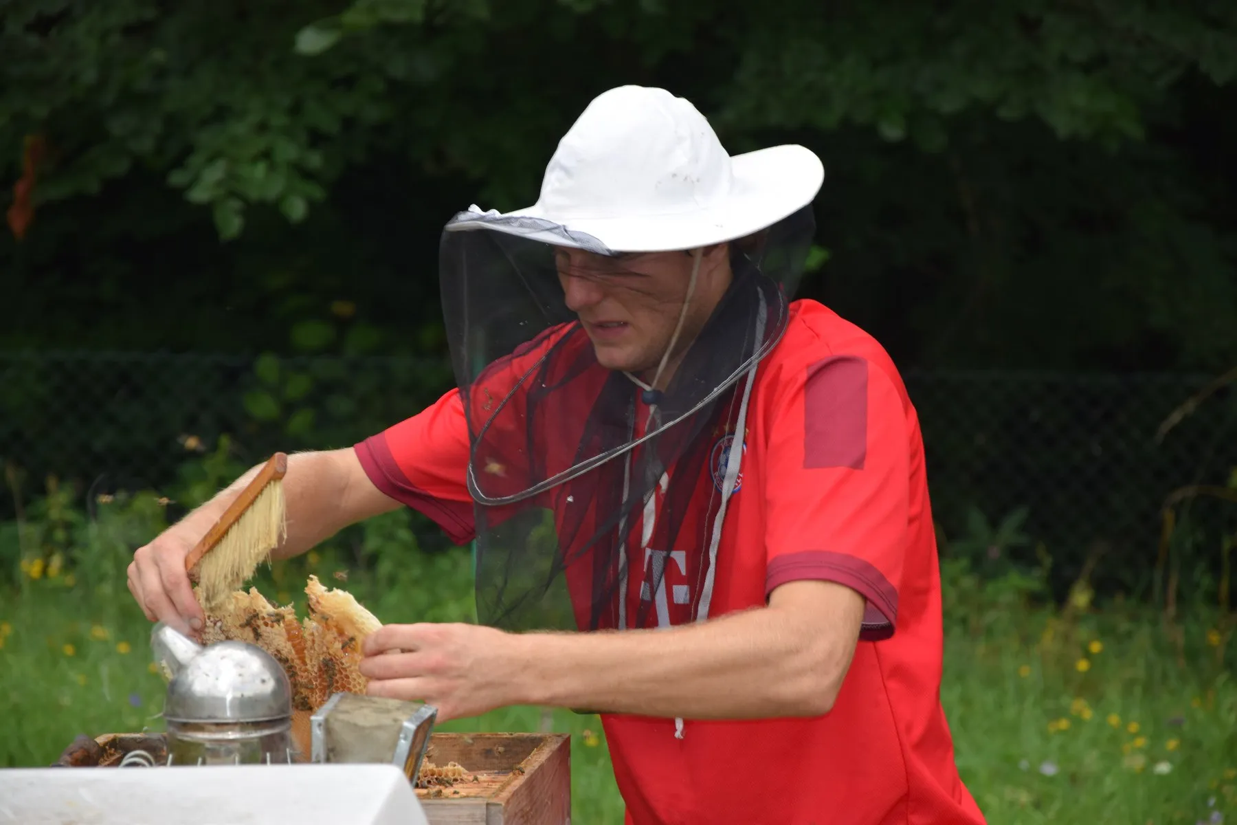Včelař v kukle vybírá plástev nad dýmákem